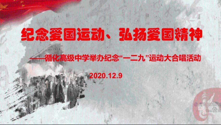 探索十大新手最好养的狗狗,获得全面回答